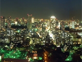 展望台からの景色(夜)