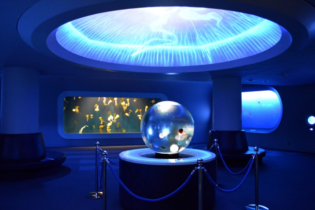 新江ノ島水族館