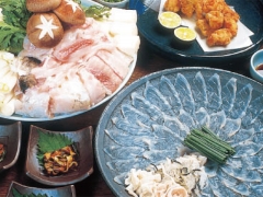 割烹・ふぐ 田乃中 極上天然とらふぐコース:舞