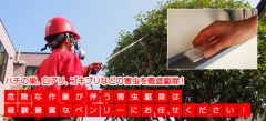 ハチの巣、白アリ、ゴキブリなどの害虫を徹底駆除!