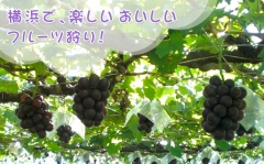 芝口果樹園